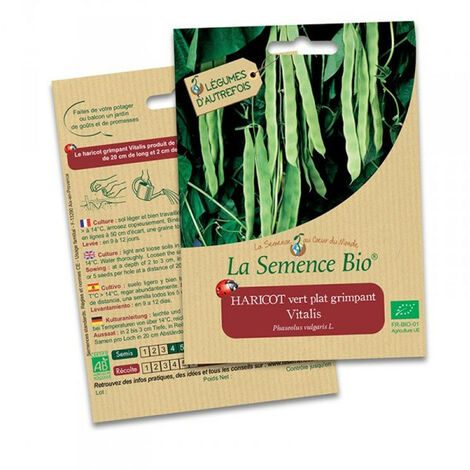 Haricot vert plat Vitalis - 75 gr - La Semence Bio