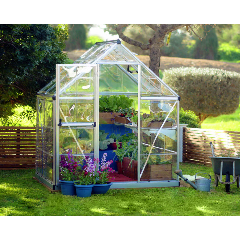Palram - Serre de jardin 2.3m² argent 701634