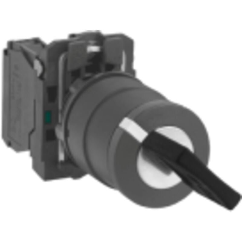 Schneider Electric - Harmony bouton tournant noir Ø22 - à clé Ronis 455 - 2 positions - 1F - XB5AG61