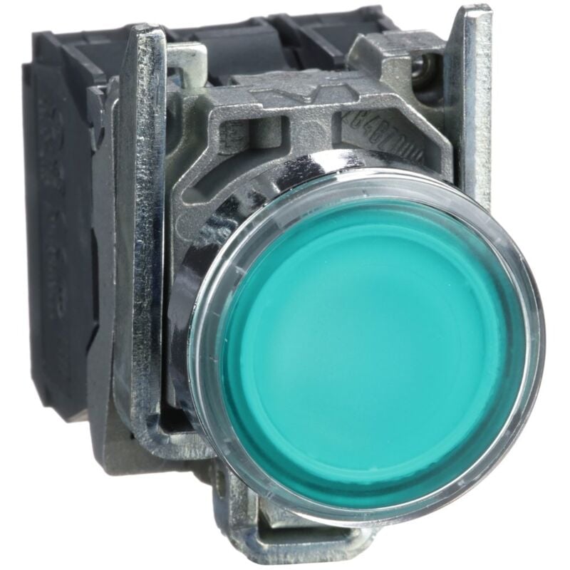 Schneider Electric - Harmony bt-pous lumineux vert Ø22 - impulsion - 24V - 1O+1F - XB4BW33B5