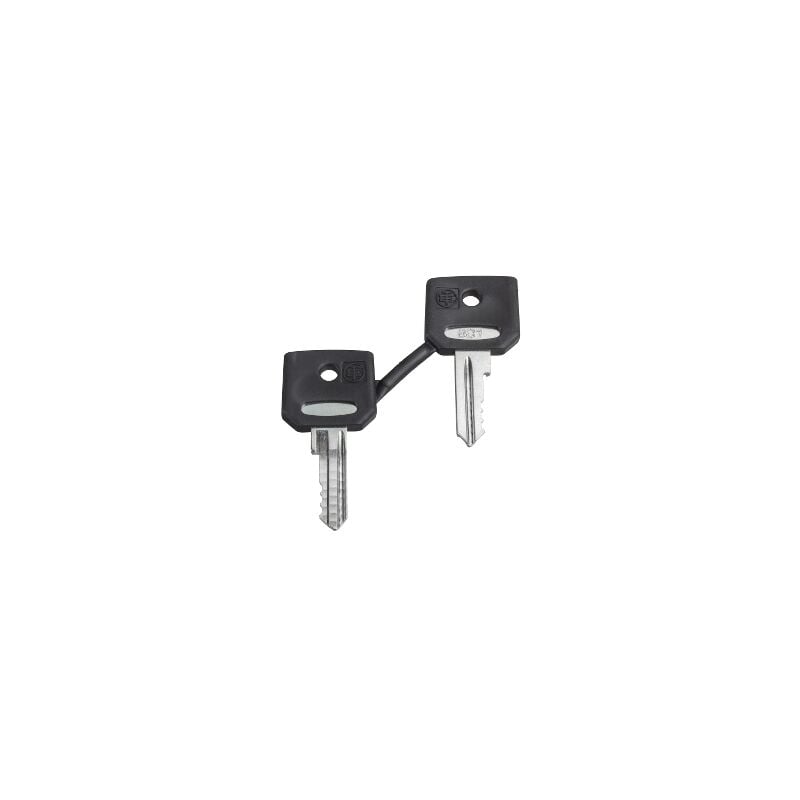 Schneider Electric - ZBG421E de remplacement touches, lot de clés n 421E