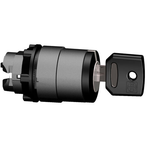 Harmony XB5 - tête bouton tournant à clé 455 - Ø22 - 2 pos fix - retr D (ZB5AG02)