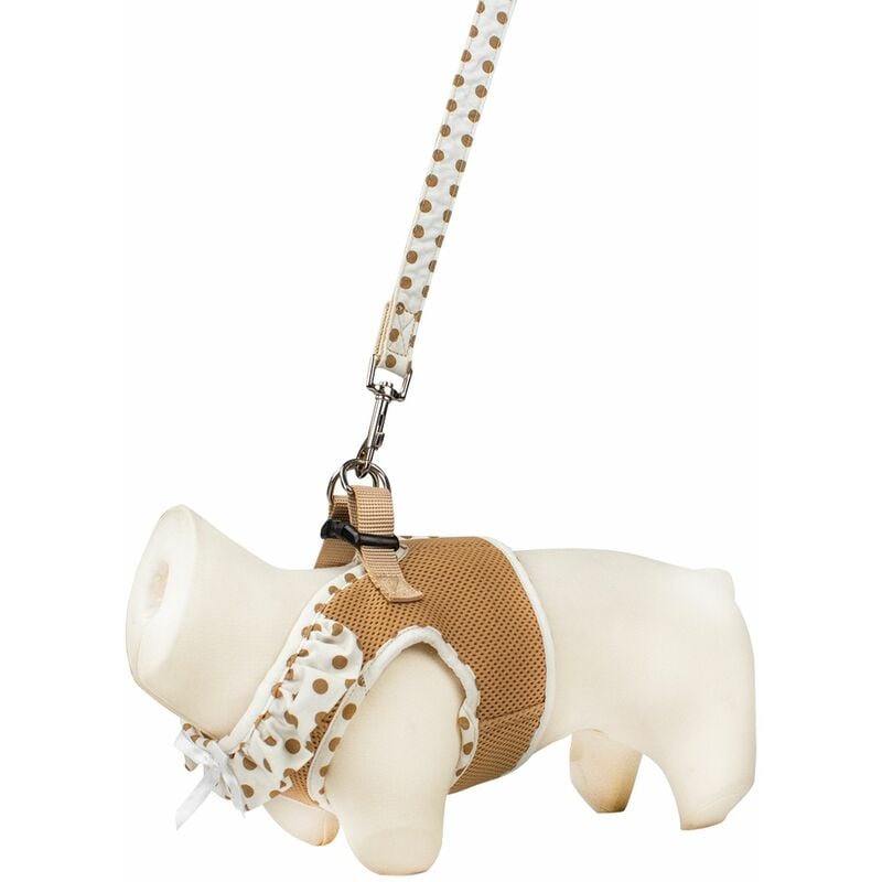 Harnais air mesh et laisse pois Beige Taille : l