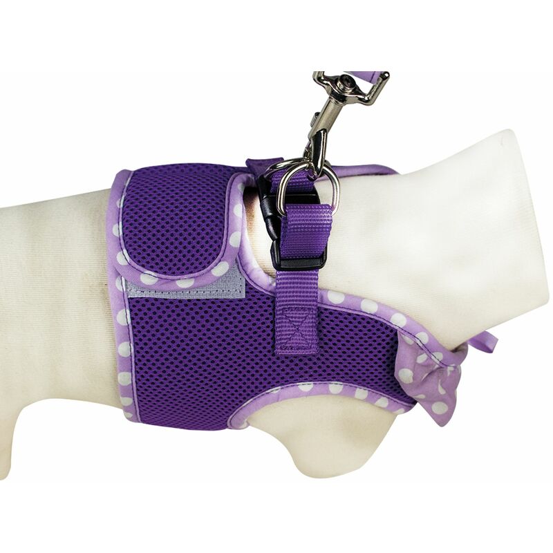 Harnais air mesh et laisse pois Violet Taille : m