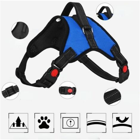Harnais Animal Harnais Chat Chien 1m Harnais Chaton Réglable Bleu M
