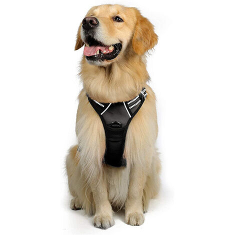 Harnais anti - traction pour chien