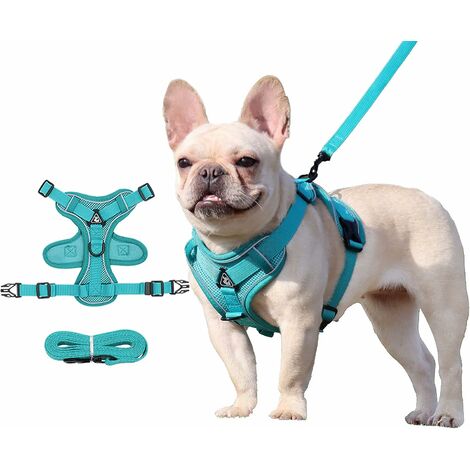 Harnais anti-traction pour chien avec 2 clips de laisse, réglable, réfléchissant, pour animaux de compagnie de petite, moyenne et moyenne taille (taille XL, bleu lac),Lonvrèe