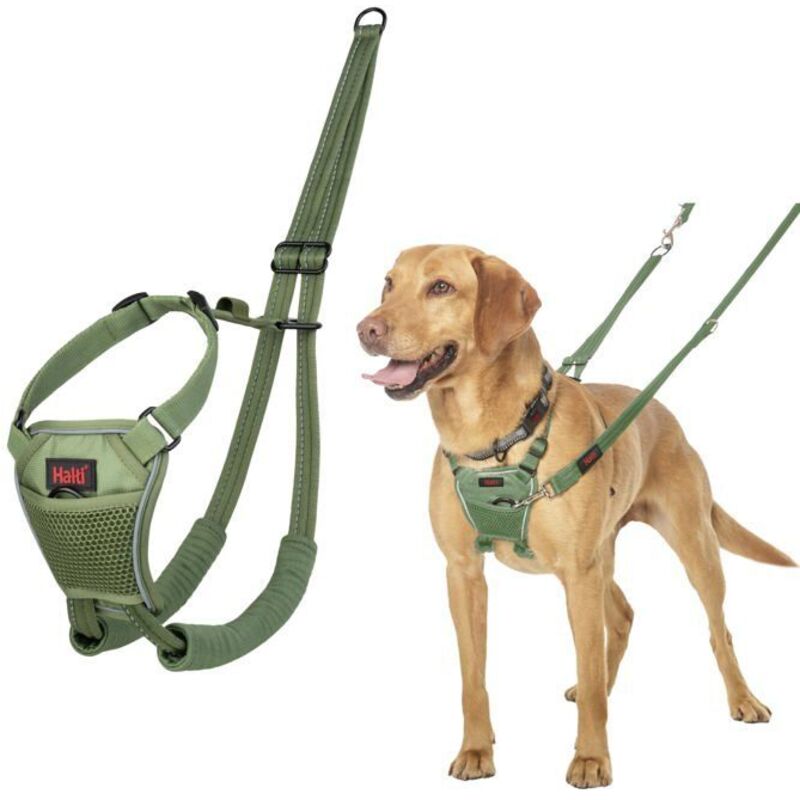 Harnais anti-traction pour chiens - Halti - Taille M - Vert Forêt - Camouflage - Sangles rembourrées - Réglable