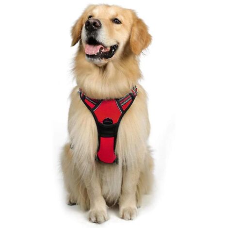Harnais anti-traction réfléchissant et réglable pour chien avec laisse, rouge, taille moyenne, idéal pour les promenades et le dressage.