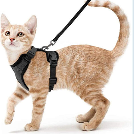 Harnais avec Laisse pour Chat, Petit Chien et Lapin Noir Taille S, Gilet Réfléchissant Ajustable Anti-fugue