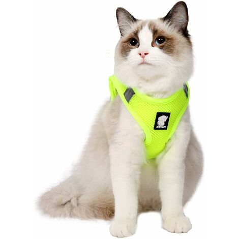 Pilule Contraceptive Pour Chat Femelle A Prix Mini Page 100