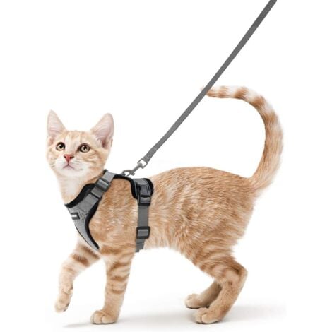 Harnais Chat Petit Chien Laisse Harnais Chaton Réglable Gris XS Collier Harnai Chat Refléchissant Gilet Respirant pour Lapin, Chat Européen, Maine Coon, Persan, Attache Dessus avec Laisse
