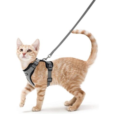 Harnais Chat Petit Chien Laisse Harnais Chaton Réglable Gris XS Collier Harnai Chat Refléchissant Gilet Respirant pour Lapin, Chat Européen, Maine Coon, Persan, Attache Dessus avec Laisse