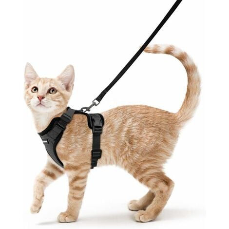 Harnais Chat Petit Chien Laisse Harnais Chaton Réglable Noir S Collier Harnai Chat Refléchissant Gilet Respirant pour Lapin, Chat Européen, Maine Coon, Persan, Attache Dessus avec Laisse