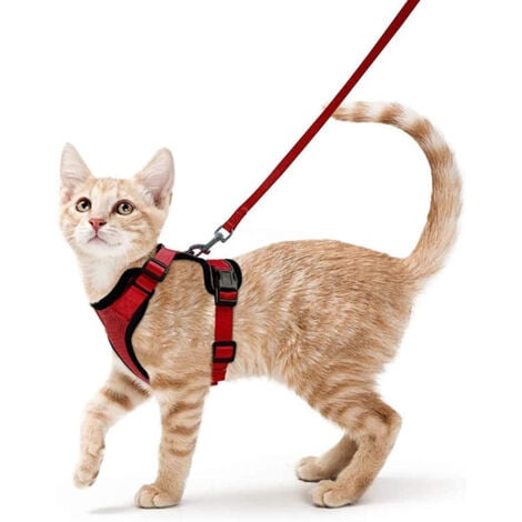 GALOZZOIT Harnais Chat Petit Chien Laisse Harnais Chaton Réglable Rouge Collier Harnai Chat Refléchissant Gilet Respirant pour Lapin, Chat Européen, Maine Coon, Persan, Attache Dessus avec Laisse（XS -rouge