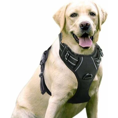 Harnais Chien Anti Traction, Arnet pour Chien Facile à Mettre Harnais Réfléchissant Réglable avec Attache Devant Harnais pour Chien Moyen, Large, Couleur Noir-Ensoleillé