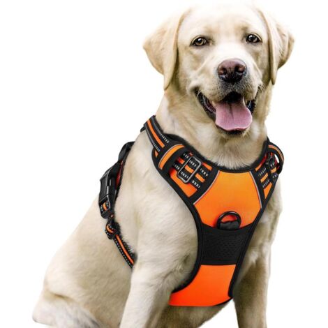 Harnais chien anti-traction Rabbitgoo L orange réglable réfléchissant attache avant