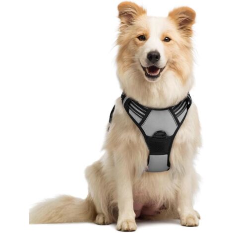Harnais chien anti-traction Rabbitgoo M gris réglable réfléchissant attache avant