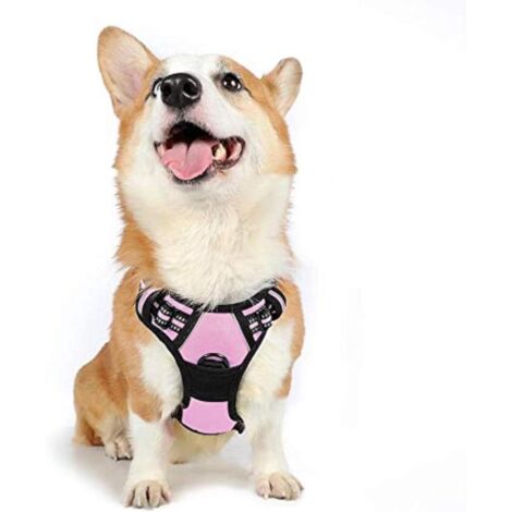 Harnais chien anti-traction Rabbitgoo M rose réglable réfléchissant attache avant