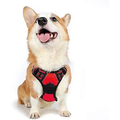Harnais chien anti-traction Rabbitgoo M rouge réglable réfléchissant attache avant