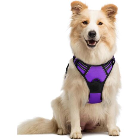 Harnais chien anti-traction Rabbitgoo M violet réglable réfléchissant attache avant