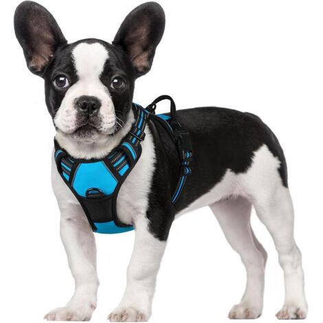 Harnais chien anti-traction Rabbitgoo S bleu clair réglable réfléchissant attache avant