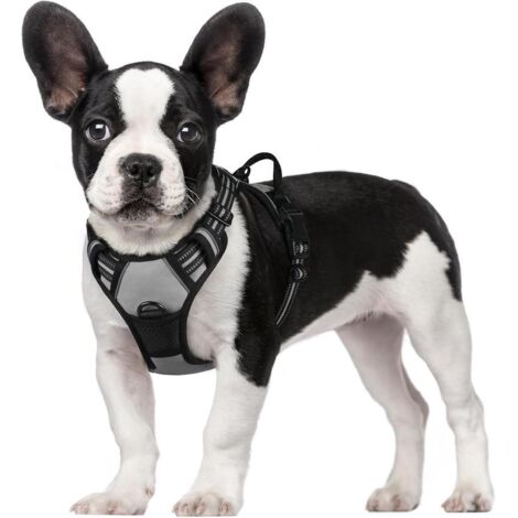 Harnais chien anti-traction Rabbitgoo S gris réglable réfléchissant attache avant