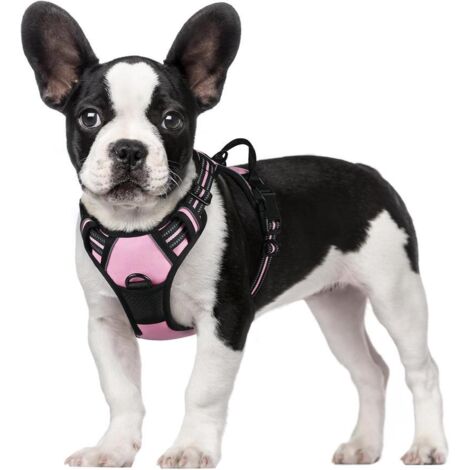 Harnais chien anti-traction Rabbitgoo S rose réglable réfléchissant attache avant