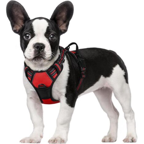 Harnais chien anti-traction Rabbitgoo S rouge réglable réfléchissant attache avant