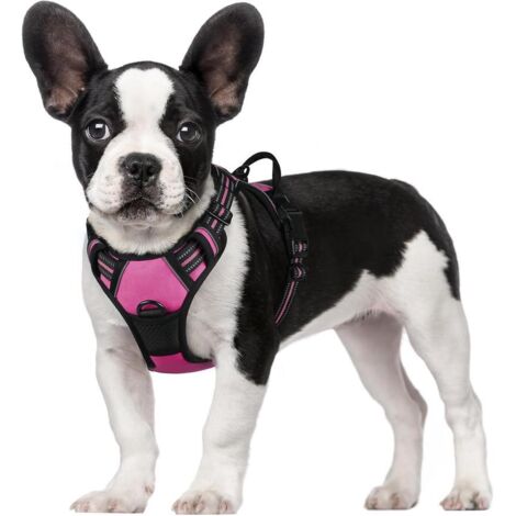 Harnais chien anti-traction Rabbitgoo S rouge rose réglable poignée attache avant