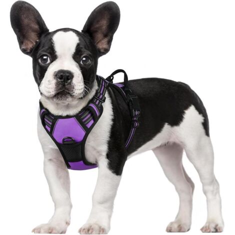 Harnais chien anti-traction Rabbitgoo S violet réglable réfléchissant attache avant
