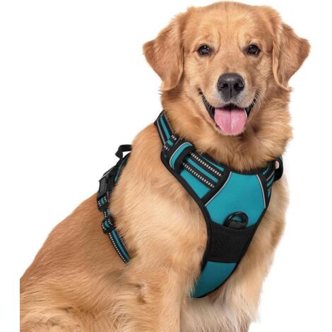 Harnais chien anti-traction Rabbitgoo XL bleu paon réglable poignée attache avant