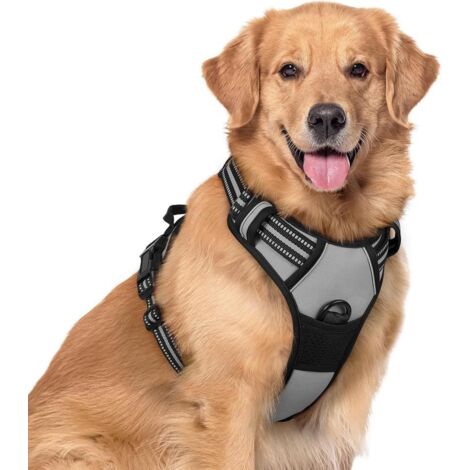 Harnais chien anti-traction Rabbitgoo XL gris réglable réfléchissant attache avant