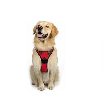 Harnais Chien L Arnais Rouge Anti Traction Réfléchissant Gilet Réglable pour Chien Grand Taille, Attache Devant Crochet de Laisse pour Randonnée Trajet Voiture, American Staff, Border Collie-Ensoleill