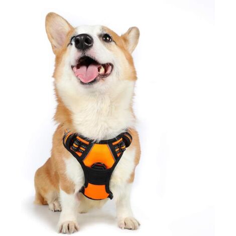 Harnais Chien M Arnais Orange Anti Traction Réfléchissant Gilet Réglable pour Chien, Attache Devant Crochet de Laisse pour Randonnée Trajet Voiture, Bouledogue Français, Berger Australien-Ensoleillé