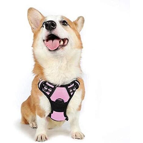 Harnais Chien M Arnais Rose Anti Traction Réfléchissant Gilet Réglable pour Chien, Attache Devant Crochet de Laisse pour Randonnée Trajet Voiture, Bouledogue Français, Berger Australien-Ensoleillé