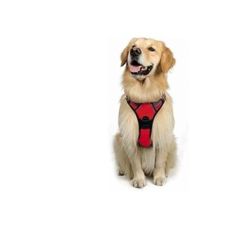 Harnais Chien M Arnais Rouge Anti Traction Réfléchissant Gilet Réglable pour Chien Grand Taille. Attache Devant Crochet de Laisse pour Randonnée Trajet Voiture. American Staff. Border Collie