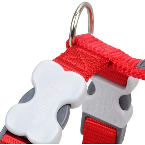 Harnais chien réglable Red Dingo Basic rouge Taille : T4