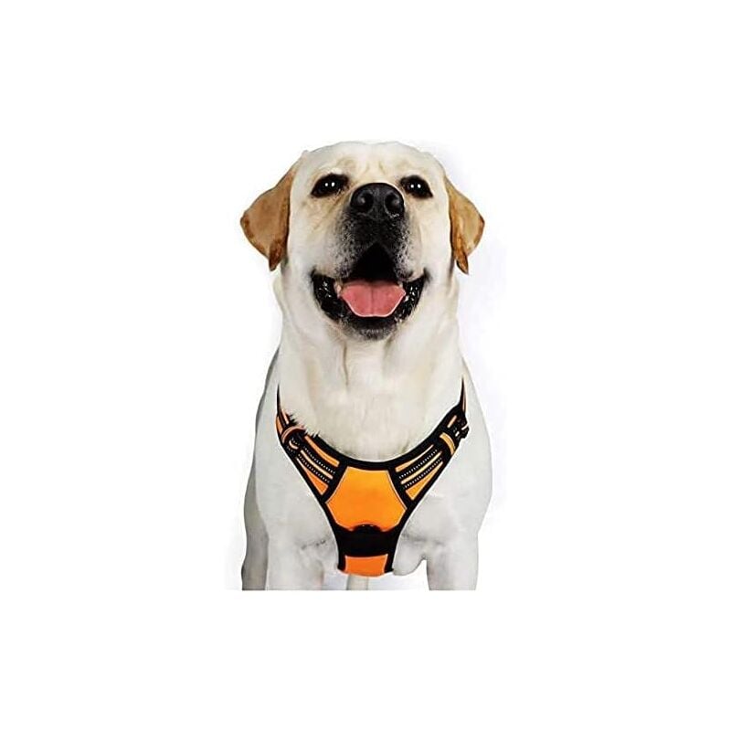 Harnais Chien xl Arnais Orange Anti Traction Réfléchissant Gilet Réglable pour Chien Grand Taille, Attache Devant Crochet de Laisse pour Trajet
