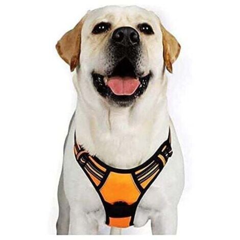 Harnais Chien XL Arnais Orange Anti Traction Réfléchissant Gilet Réglable pour Chien Grand Taille, Attache Devant Crochet de Laisse pour Trajet Voiture, American Staff, Border Collier-Ensoleillé