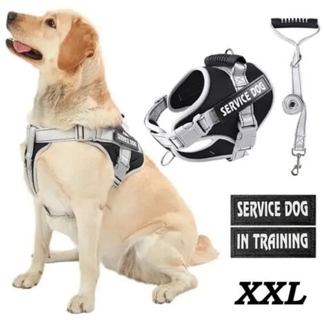 Harnais Chien XXL,Réfléchissant Harnais Anti Traction avec Laisse pour Chien et Poignée Rembourrée, pour Moyen Grand Chien, Noir