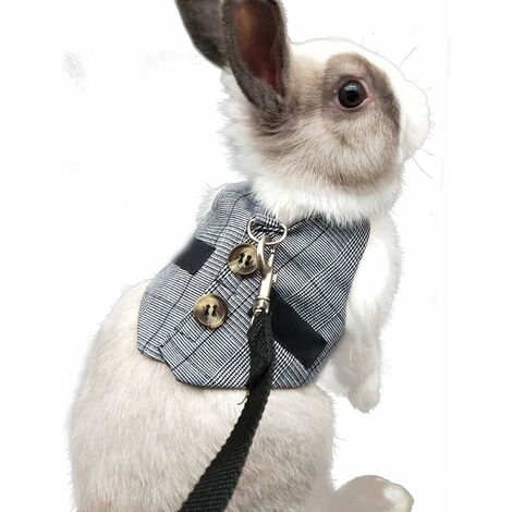 Harnais de Costume Ajustable de Lapin, Harnais pour Petit Animal et Jeu de Laisse ， pour Petits Animaux Lapin Hamsters Chats （Gris L） 56Vingt