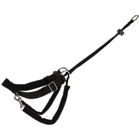 Harnais de dressage Trixie EasyWalk