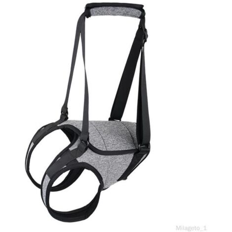Harnais de levage pour chien ceinture auxiliaire laisse pour animal de compagnie pour coussin de levage de jambe arrière XL