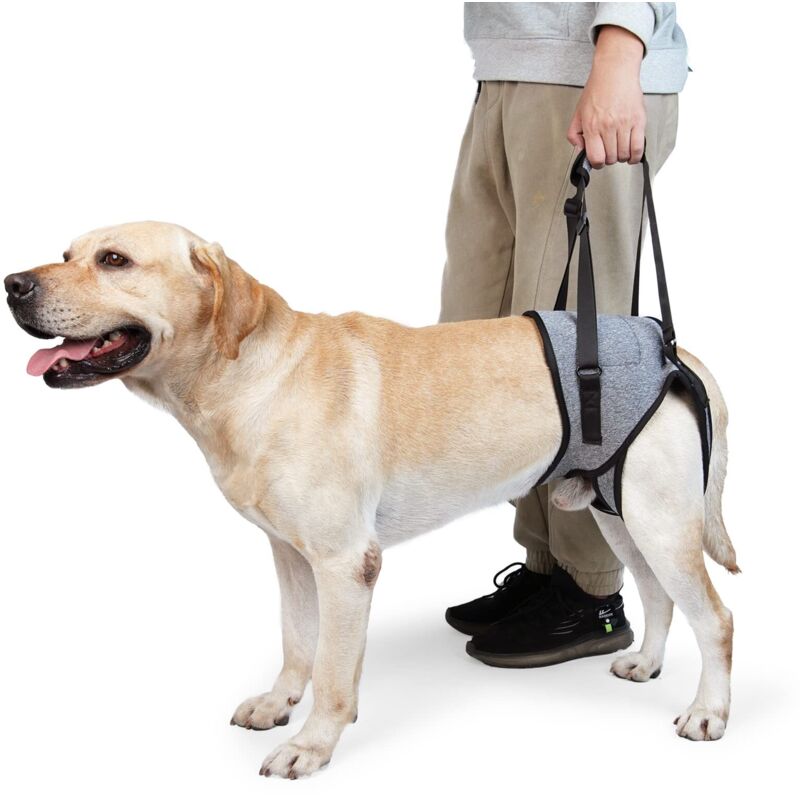 Harnais de Levage pour Chien – Harnais de Soutien pour Pattes arrière – Écharpe de Soutien Souple pour Chiens de Petite, (L, Gris)