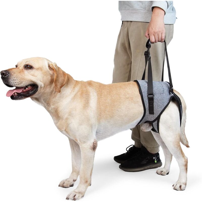 Harnais de Levage pour Chien – Harnais de Soutien pour Pattes arrière – Écharpe de Soutien Souple pour Chiens de Petite, Moyenne et Grande Taille