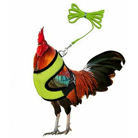 Harnais de poulet réglable avec laisse - Gilet de poule confortable en maille respirante