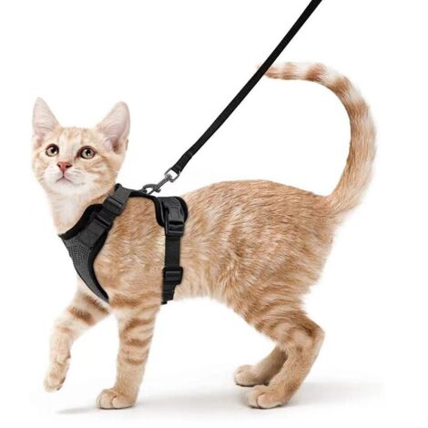 Harnais de sécurité, harnais pour chiot chat collier réglable harnais de sécurité réfléchissant gilet respirant pour chat, chat respirant poitrine réfléchissante, anti-rupture laisse pour chat laisse 