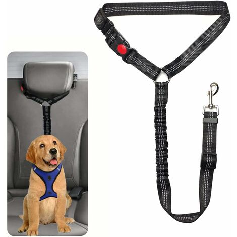 Harnais grand chien pour voiture - Animabassin