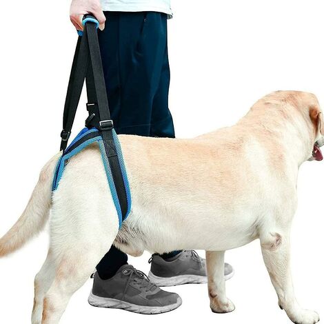 Harnais de soutien pour chien, ceinture auxiliaire à main pour chien, adapté à la rééducation des chiens âgés